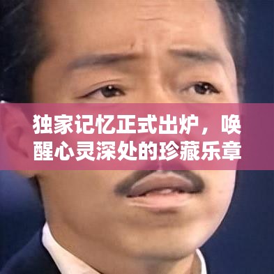 独家记忆正式出炉，唤醒心灵深处的珍藏乐章