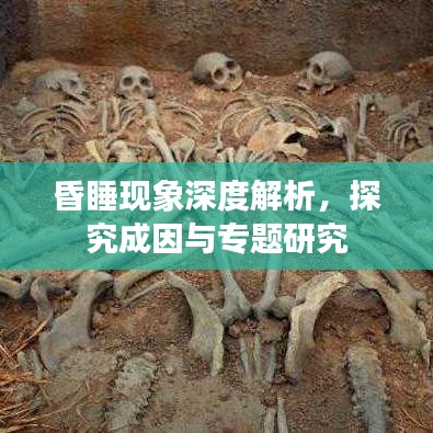 昏睡现象深度解析，探究成因与专题研究