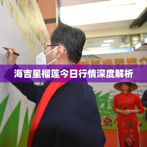 海吉星榴莲今日行情深度解析