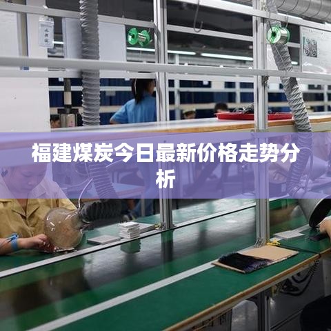 福建煤炭今日最新价格走势分析