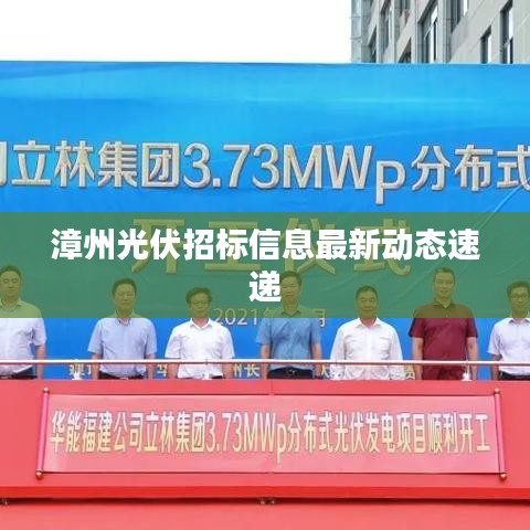 漳州光伏招标信息最新动态速递