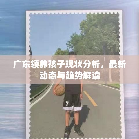 广东领养孩子现状分析，最新动态与趋势解读