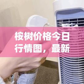 桉树价格今日行情图，最新市场动态一网打尽！