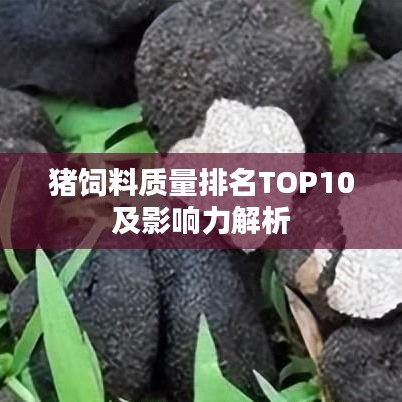 猪饲料质量排名TOP10及影响力解析