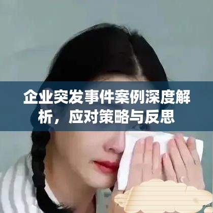 企业突发事件案例深度解析，应对策略与反思