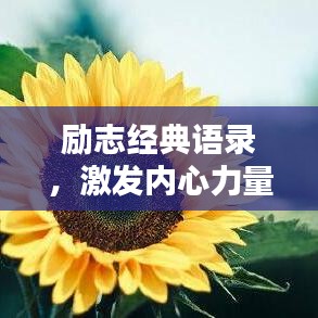 励志经典语录，激发内心力量的源泉