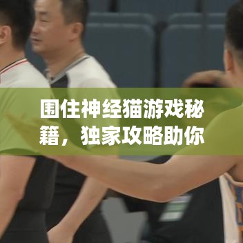 围住神经猫游戏秘籍，独家攻略助你轻松通关！