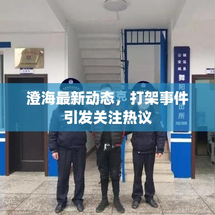 澄海最新动态，打架事件引发关注热议