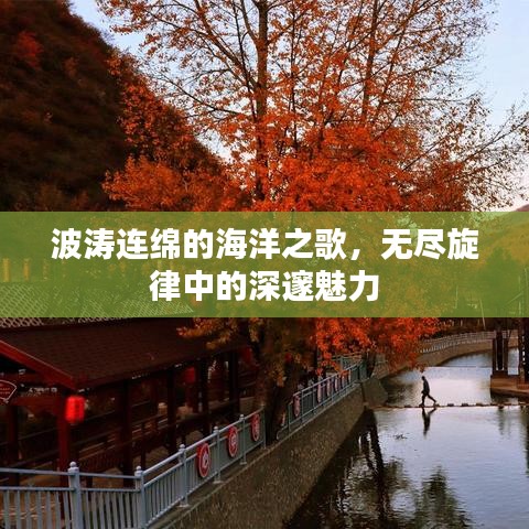 波涛连绵的海洋之歌，无尽旋律中的深邃魅力