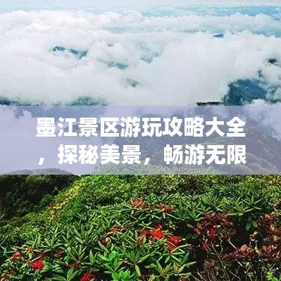2025年5月7日 第2页