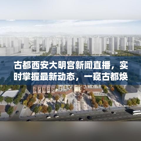 古都西安大明宫新闻直播，实时掌握最新动态，一窥古都焕新貌风采