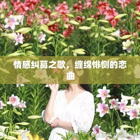 2025年5月21日