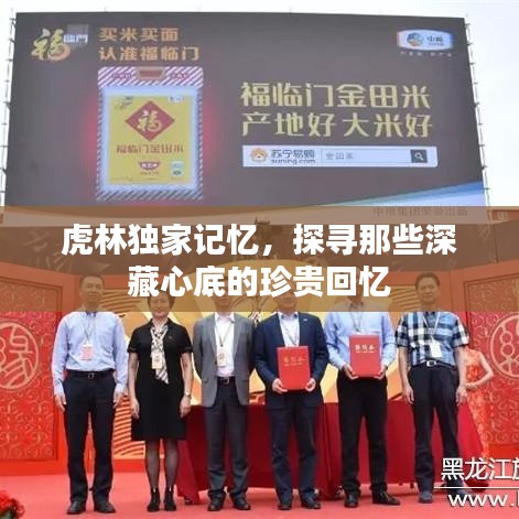 虎林独家记忆，探寻那些深藏心底的珍贵回忆