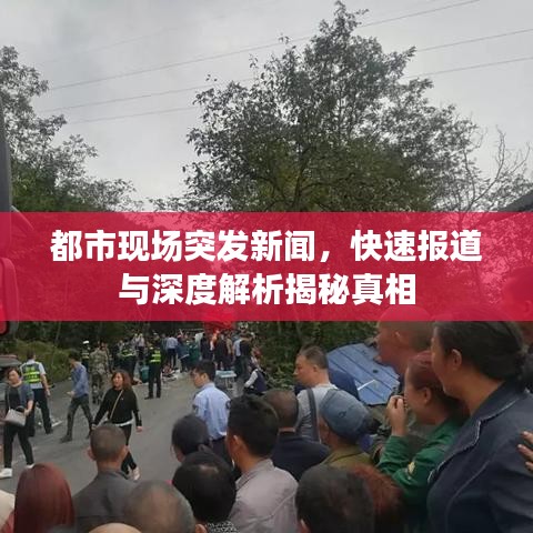 都市现场突发新闻，快速报道与深度解析揭秘真相