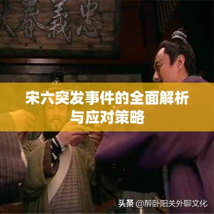 宋六突发事件的全面解析与应对策略