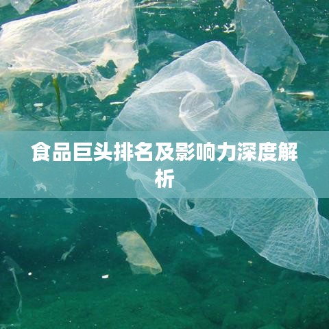 食品巨头排名及影响力深度解析