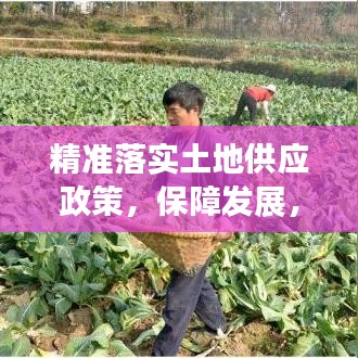 精准落实土地供应政策，保障发展，守护耕地安全