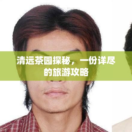清远茶园探秘，一份详尽的旅游攻略