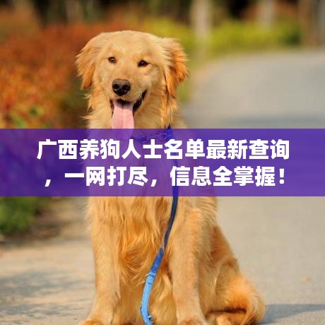 广西养狗人士名单最新查询，一网打尽，信息全掌握！