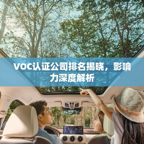 VOC认证公司排名揭晓，影响力深度解析
