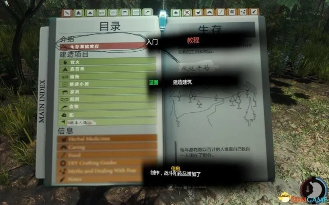 森林全版本,专业调查解析说明-Notebook_v3.967