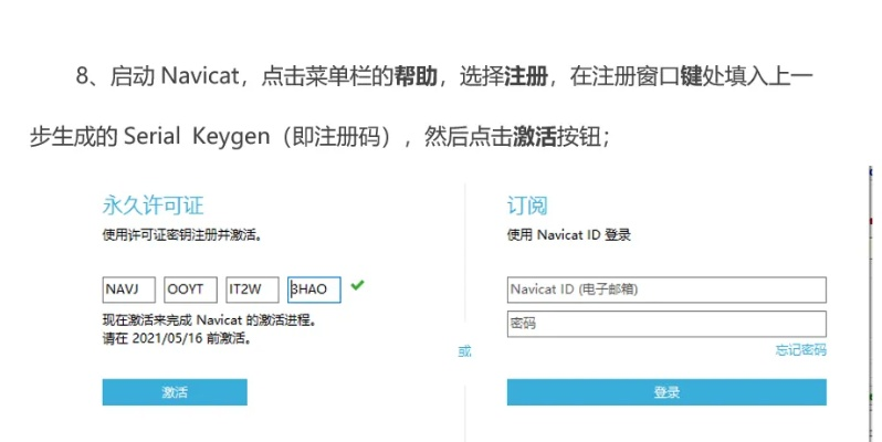 navcate激活码同淘宝买家下载官方,实地考察数据设计_kit_v4.369