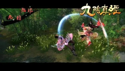 九阴激活码能激活几次跟982棋牌官方下载,数据支持策略解析-QHD版_v3.292