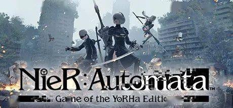 重温经典,关于Steam尼尔激活码或八十分单机版手机版 v3.104复刻版旧版本的深度解析与推荐