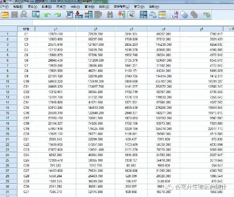 公正的产品分析师视角，SPSS 20激活码与机甲风暴官方下载的深入对比及购买建议