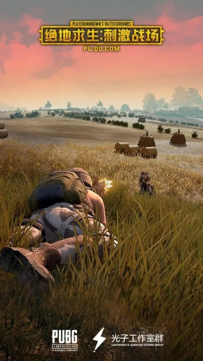 关于刺激战场激活码激活及红包外挂下载与软件成功分析