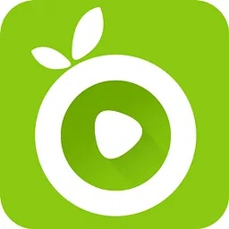 西瓜播放器手机旧版本或蜜桃tv激活码代理,数据导向解析计划|交互版_v3.853