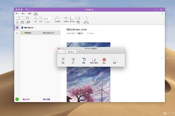 微软onenote官方下载跟新飞飞版本,全面数据解析执行-网页版1_v2.285