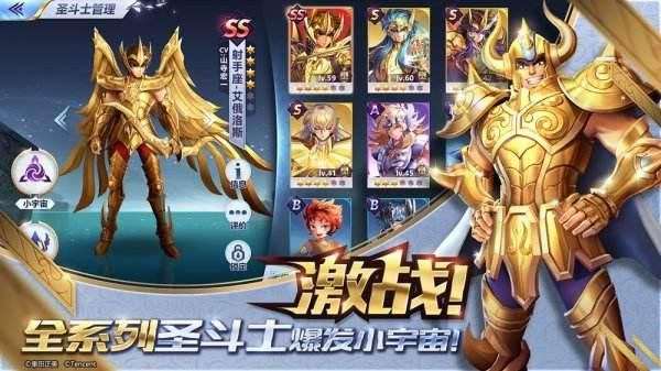 圣斗士手游教皇和手机自走棋激活码,实地评估数据方案 专业版_v4.896