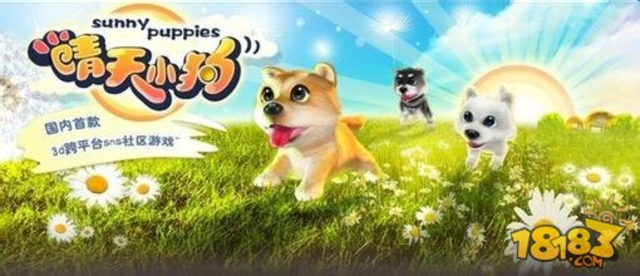 晴天小狗单机版和知乎下载官方,深入分析定义策略_iPhone_v6.857