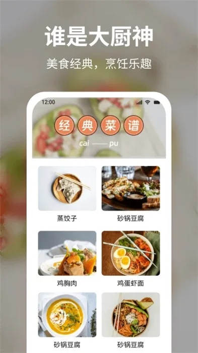 大贰版本同菜谱官方下载，精细评估与功能扩展指南（安卓_v7.477）