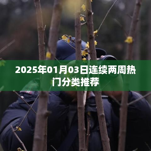 连续两周热门分类推荐，2025年最新动态
