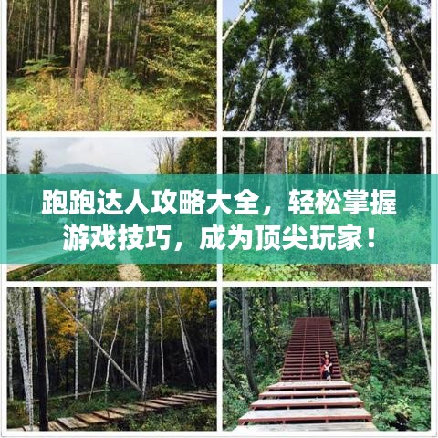 跑跑达人攻略大全，轻松掌握游戏技巧，成为顶尖玩家！