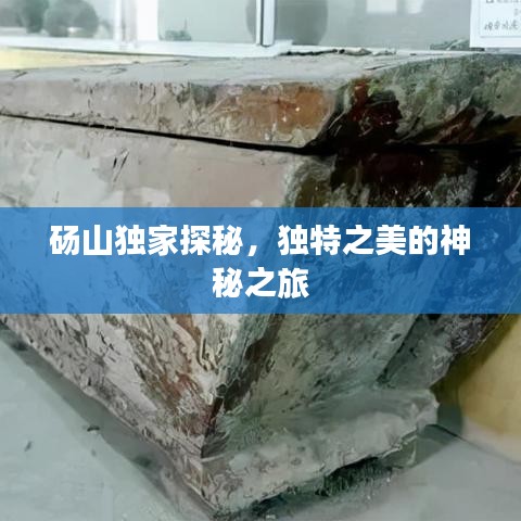 砀山独家探秘，独特之美的神秘之旅