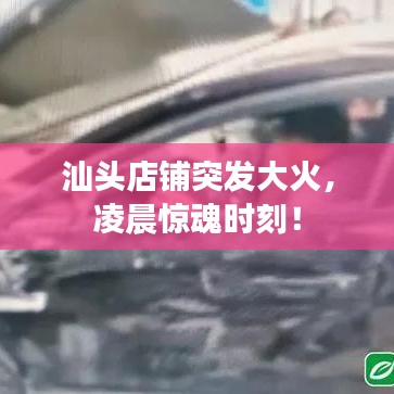 2025年6月11日 第3页