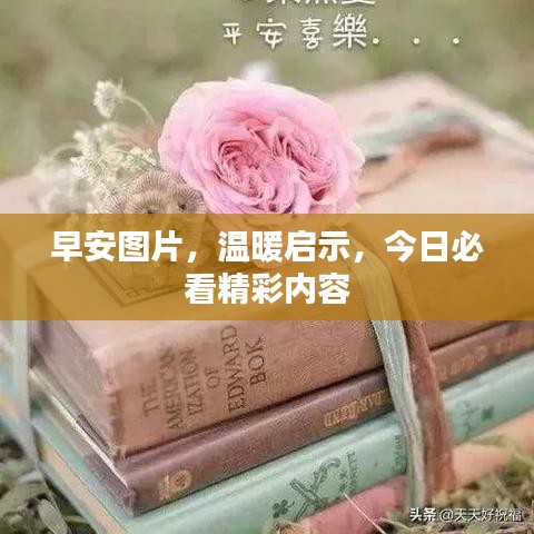 早安图片，温暖启示，今日必看精彩内容