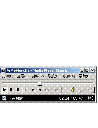 视频播放器老版本,快速落实响应方案|Max_v8.122