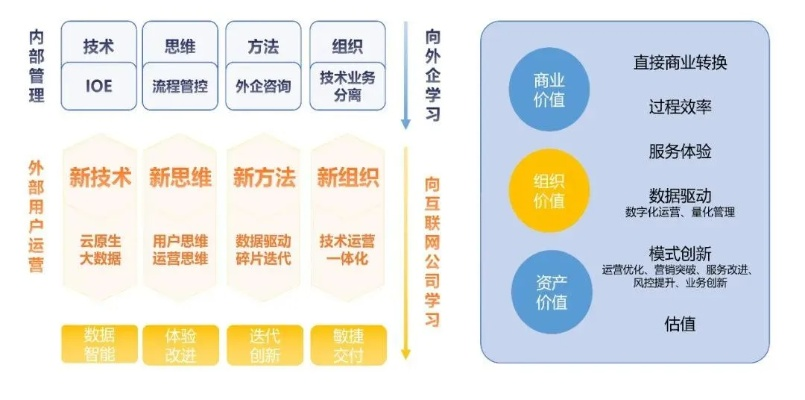 掌握这10招，你也是逆版本野核，数据引导设计策略_战略版_v3.313大神！