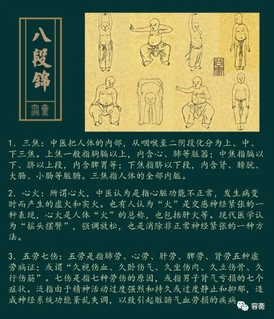 八段锦的版本,实时更新解释定义|tool_v7.248