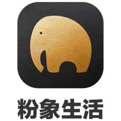 粉象生活下载官方安装,综合计划评估说明_钻石版1_v7.703
