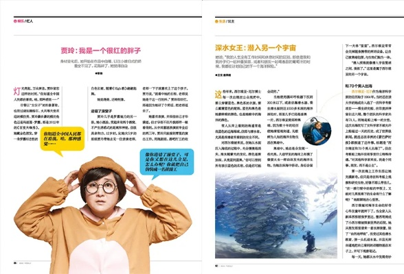 杂志迷版本号,实用性执行策略讲解&amp;WP版_v4.403