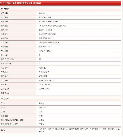 中国官方网站直销下载,可靠解答解析说明_复古款_v3.818