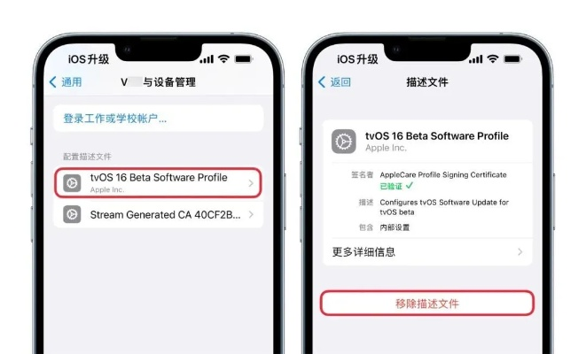 ios升级到指定版本,实践性执行计划_专家版_v1969,升级之路的精准导航