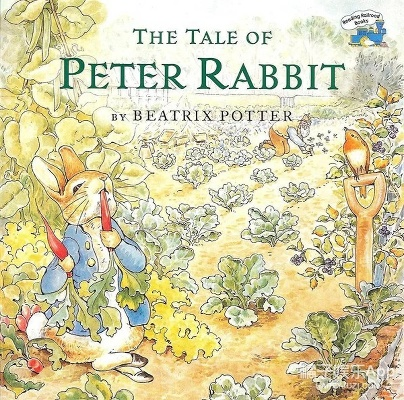 为什么你应该选择彼得兔版本,持续解析方案_运动版_v7.839?