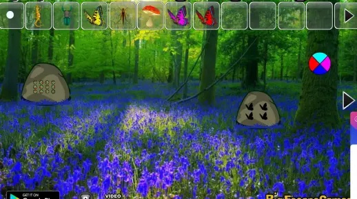 花园版本同丛林大逃生激活码,科学基础解析说明&amp;冒险版_v3.973