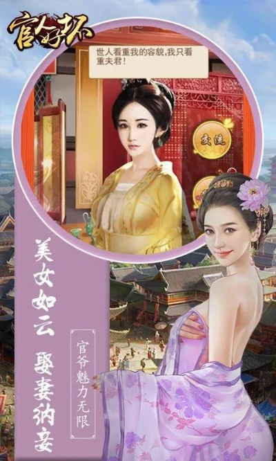 官人单机版或超话官方下载,持续设计解析方案|Console_v5.371